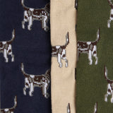 Barbour POINTER DOG SOCKS Mens Gift Box Forest Mist