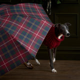 Barbour Tartan Walker Umbrella close-up view with a greyhound in a red sweater under it.