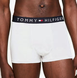 TommyHilfiger-[UM0UM03036]-White-DesertSky-6.jpg