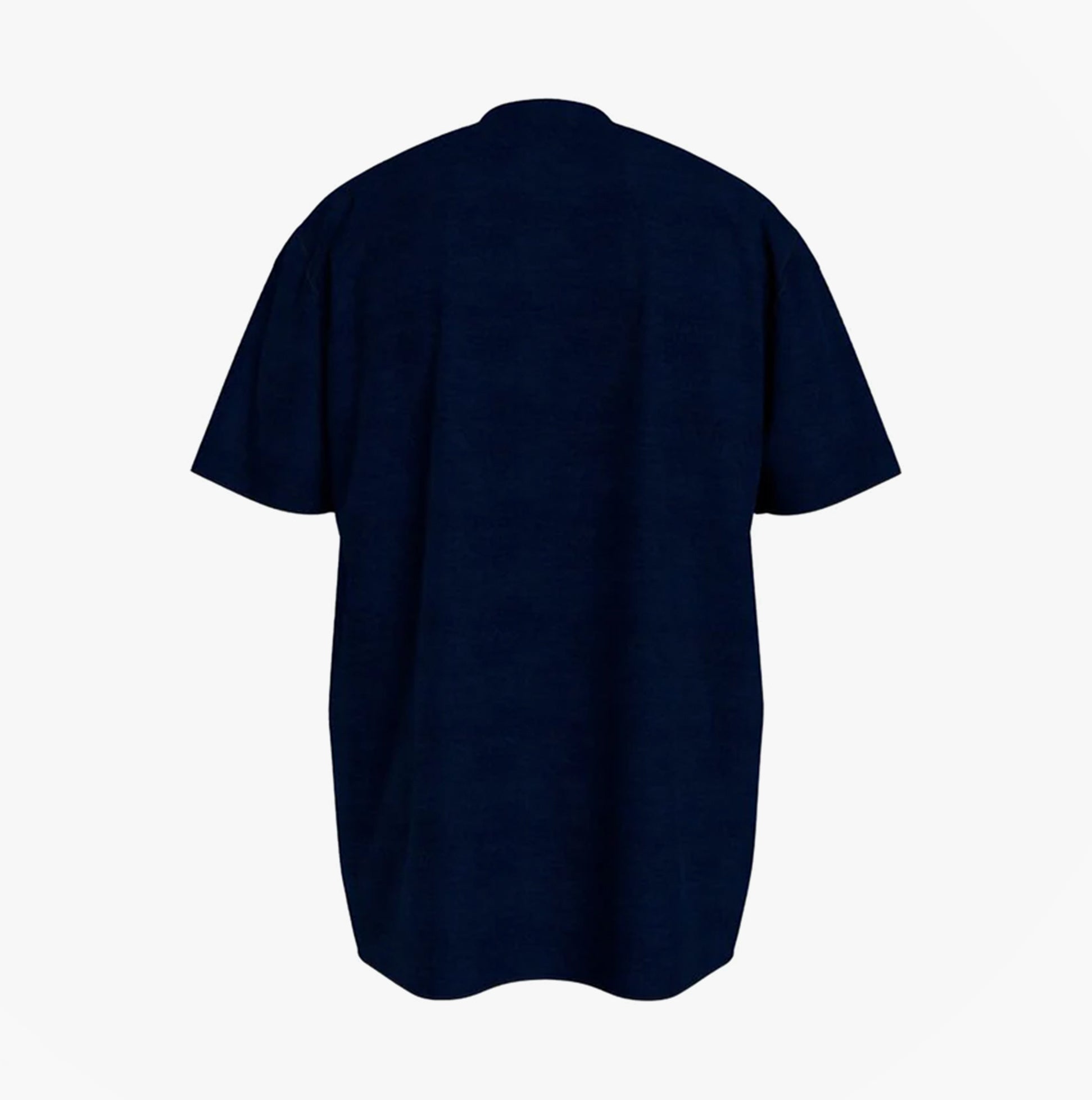 Tommy Hilfiger TH ESTABLISHED Mens T-Shirt Desert Sky back view showing short sleeves and crew neck design.