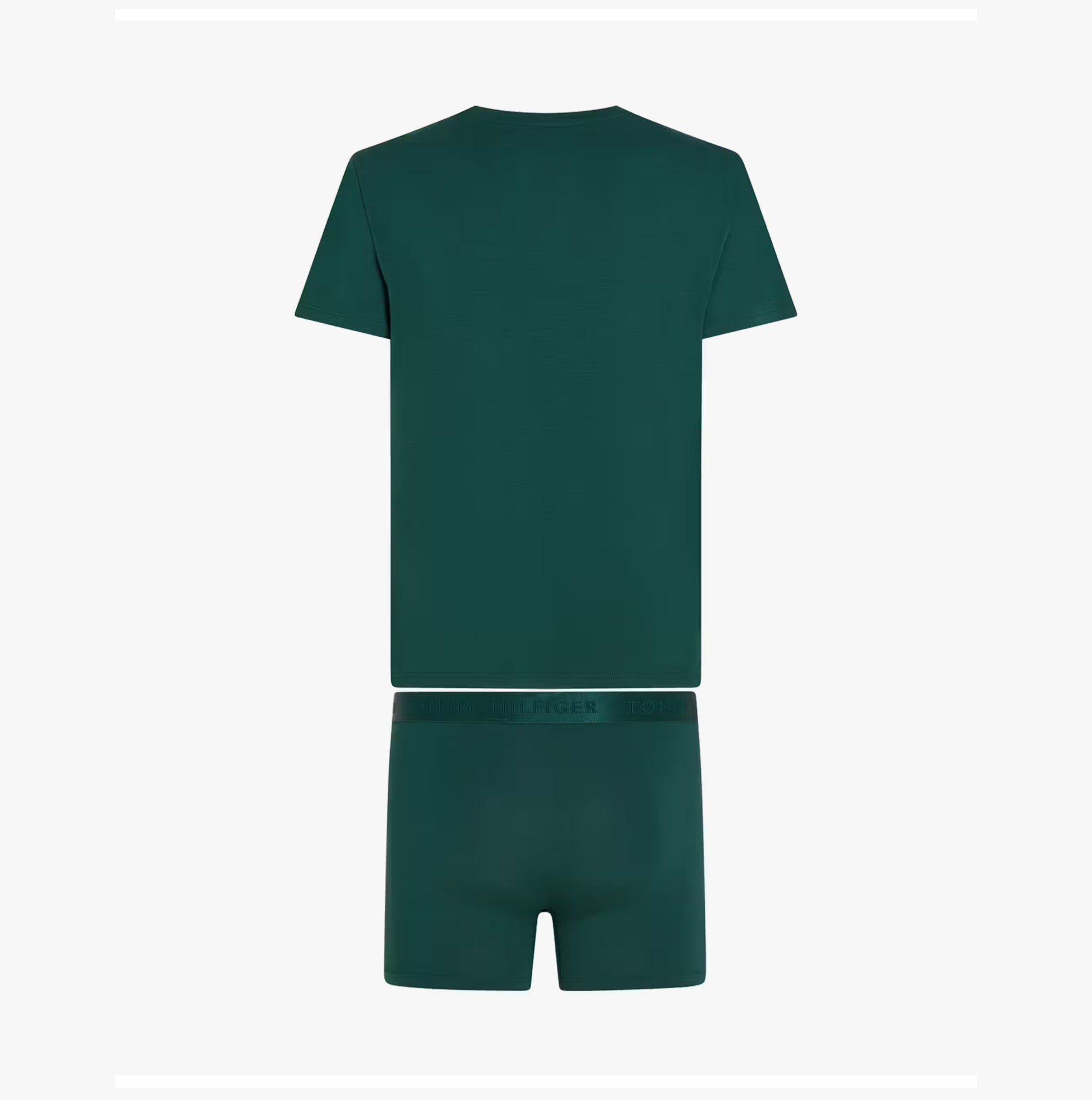 Tommy Hilfiger Mens Boxer Briefs & T-Shirt Green back view, showing the t-shirt and boxer briefs in matching green color.