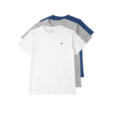 Tommy Hilfiger SS TEE Mens T-Shirt Multicoloured