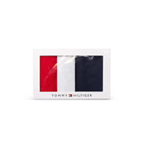 Tommy Hilfiger DIPPED THONG Womens Thong Multicoloured