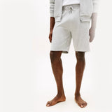 Tommy Hilfiger TH FLAG PRINT SUMMER Mens Shorts Ice Grey Heather